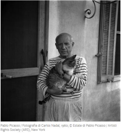 Artisti famosi e i loro gatti - Paplo Picasso.