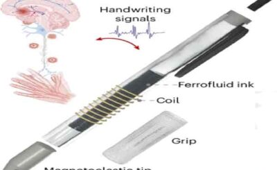 Penna magnetoelastica