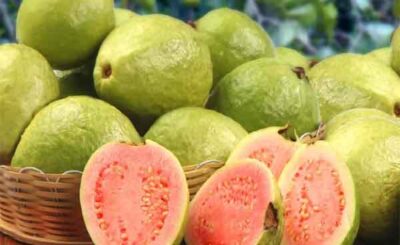 Guava frutto tropicale